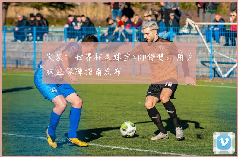 突发：世界杯足球宝app停售，用户权益保障指南发布