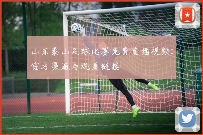 山东泰山足球比赛免费直播视频：官方渠道与观看链接